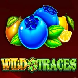 Slots logo of Wild Traces from Amusnet Interactive at Playjonny Casino